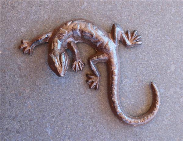 Grote foto hagedis salamander gietijzer tt158 tuin en terras tuindecoratie