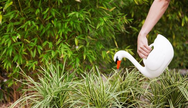 Grote foto gieter zwaan wit tg242 tuin en terras overige tuin en terras