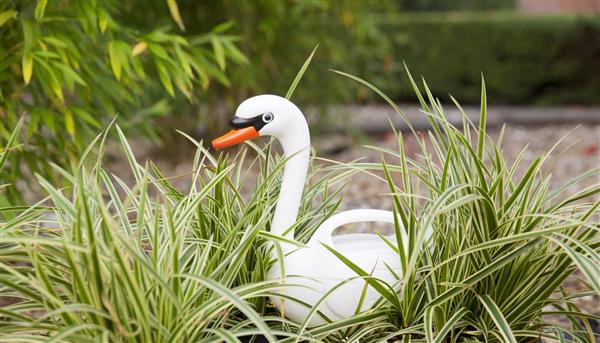 Grote foto gieter zwaan wit tg242 tuin en terras overige tuin en terras