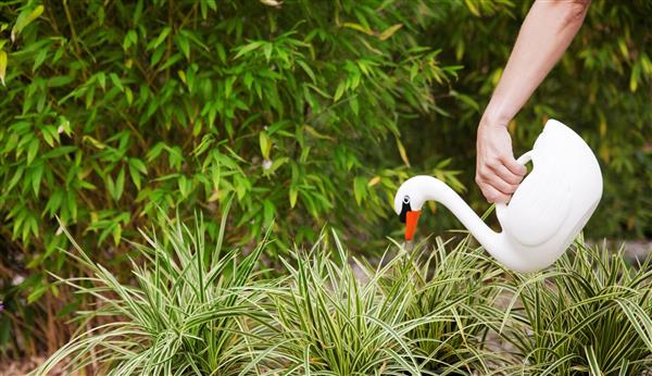 Grote foto gieter zwaan wit tg242 tuin en terras overige tuin en terras