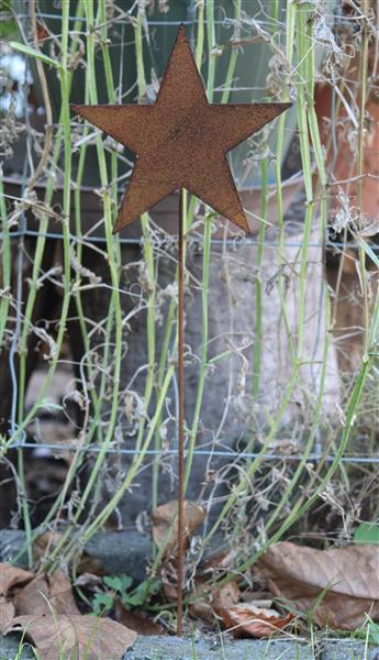 Grote foto tuinsteker ster roestkleurig metaal dicht ss238 tuin en terras tuindecoratie