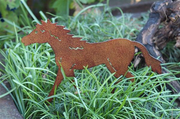 Grote foto tuinsteker paard pony roestkleurig metaal sp250 tuin en terras tuindecoratie