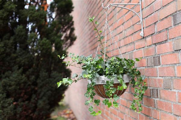 Grote foto wandhaak leeuw 27 cm. aged metal am111 tuin en terras tuindecoratie