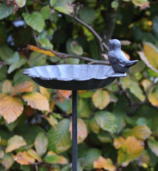 Grote foto tuinsteker vogelschaal vogelbad bloem met vogel vb302 tuin en terras tuindecoratie