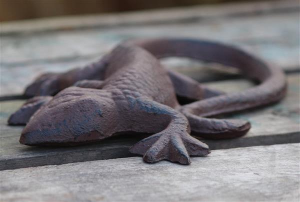 Grote foto salamander gekko 16 cm. gietijzer tt03 tuin en terras tuindecoratie