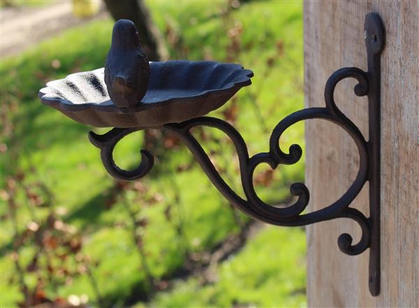 Grote foto wandhaak met vogelschaal en vogel gietijzer vb163 verzamelen overige verzamelingen