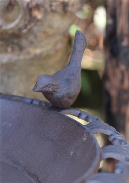 Grote foto vogelschaal vogelbad op hoge voet gietijzer vb217 verzamelen overige verzamelingen