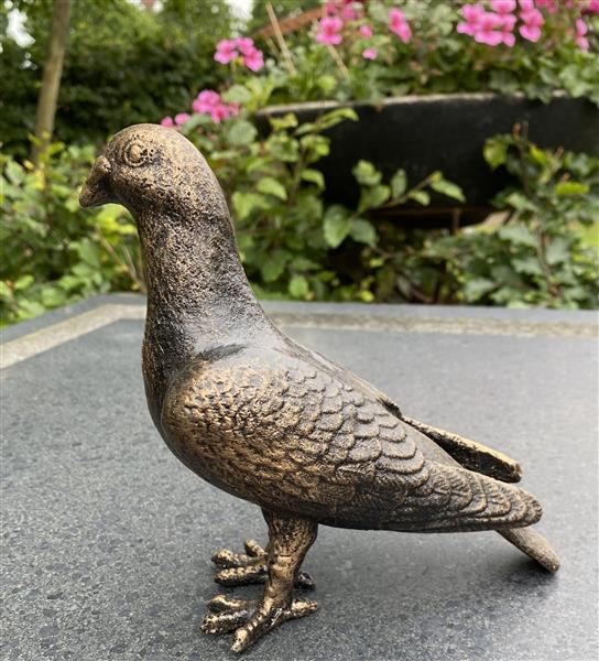 Grote foto duif gietijzer bronskleur vg132 tuin en terras tuindecoratie