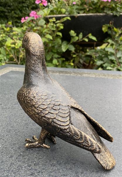 Grote foto duif gietijzer bronskleur vg132 tuin en terras tuindecoratie