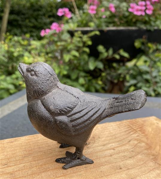 Grote foto vogel gietijzer vg134 tuin en terras tuindecoratie