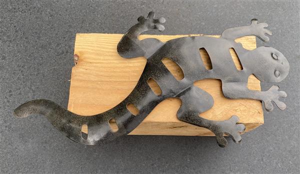 Grote foto salamander muurhanger metaal huis en inrichting woningdecoratie