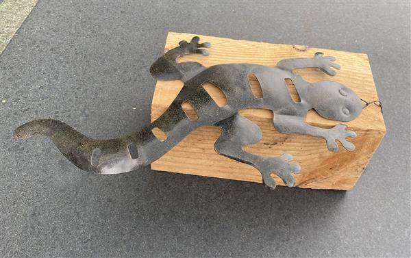Grote foto salamander muurhanger metaal huis en inrichting woningdecoratie