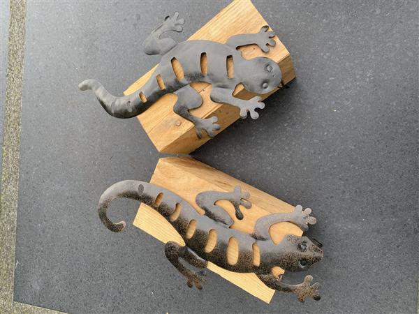 Grote foto salamander muurhanger metaal huis en inrichting woningdecoratie