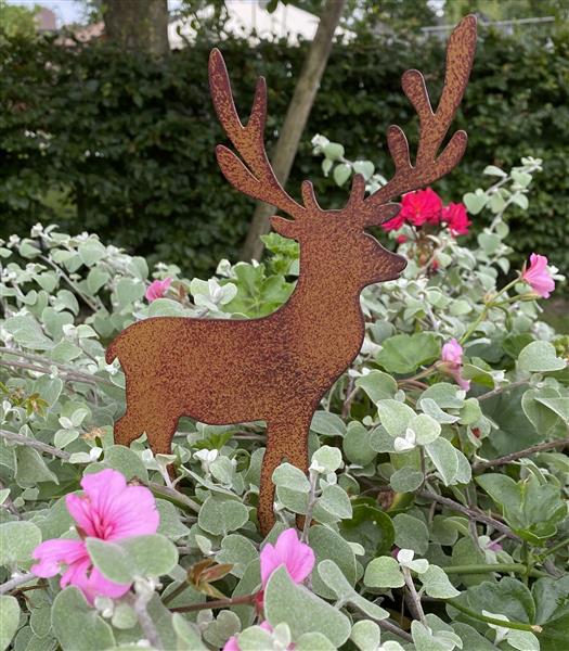Grote foto tuinsteker hert hinde roestkleurig metaal sh1217 tuin en terras tuindecoratie