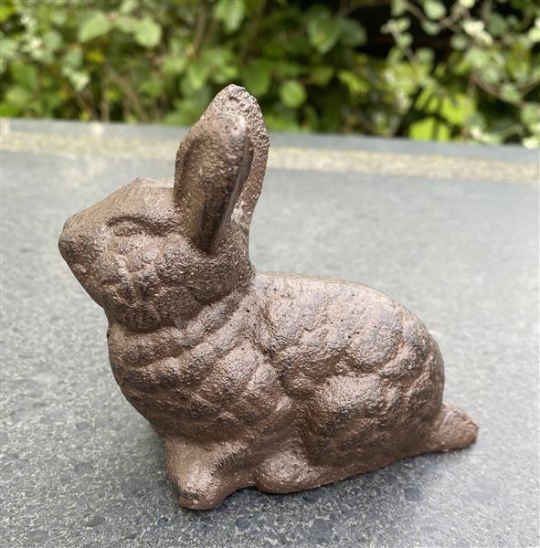 Grote foto konijn haas gietijzer tt46k tuin en terras tuindecoratie