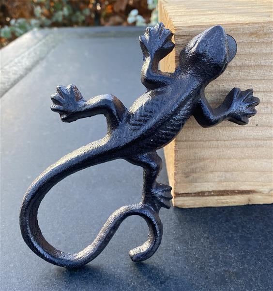 Grote foto hagedis salamander gietijzer muurhanger hg321 tuin en terras tuindecoratie