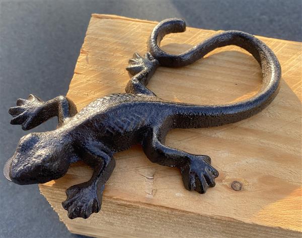Grote foto hagedis salamander gietijzer muurhanger hg321 tuin en terras tuindecoratie