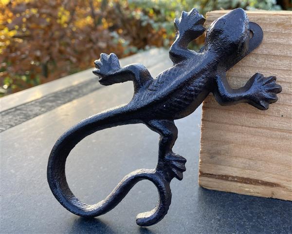 Grote foto hagedis salamander gietijzer muurhanger hg321 tuin en terras tuindecoratie