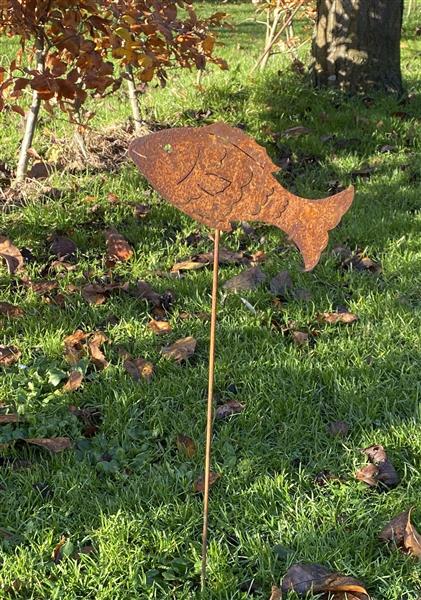 Grote foto tuinsteker vis roestig metaal sv560 tuin en terras tuindecoratie