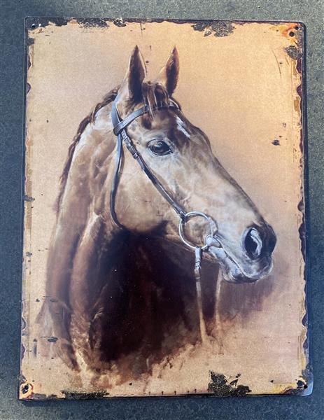 Grote foto decoratiebord paard paardenhoofd metaal dbp415 huis en inrichting woningdecoratie