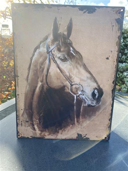Grote foto decoratiebord paard paardenhoofd metaal dbp415 huis en inrichting woningdecoratie