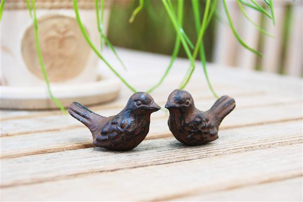 Grote foto vriendschap vogels setje van 2 in een blikje e8214 tuin en terras tuindecoratie