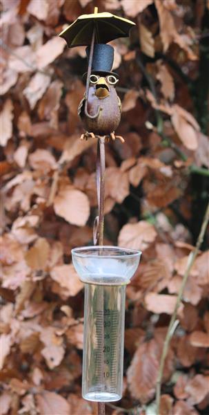 Grote foto regenmeter vogel raaf met paraplu hoed en bril rm164 tuin en terras tuindecoratie