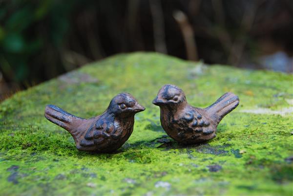 Grote foto 2 gietijzeren vogeltjes om te zeggen dank je wel in blik e8216 tuin en terras tuindecoratie