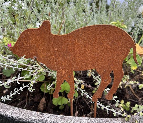 Grote foto tuinsteker varken big roestig metaal sv331a tuin en terras tuindecoratie