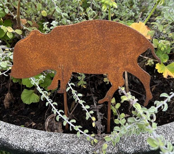 Grote foto tuinsteker varken big roestig metaal sv331b tuin en terras tuindecoratie
