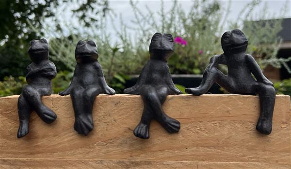 Grote foto kikkers set van 4 stuks gietijzer kgs340 tuin en terras tuindecoratie