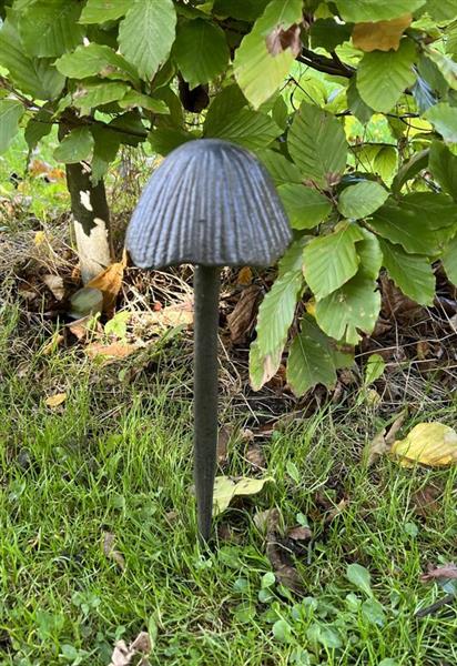 Grote foto tuinsteker paddenstoel gietijzer l pg540a tuin en terras tuindecoratie