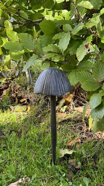Grote foto tuinsteker paddenstoel gietijzer l pg540a tuin en terras tuindecoratie