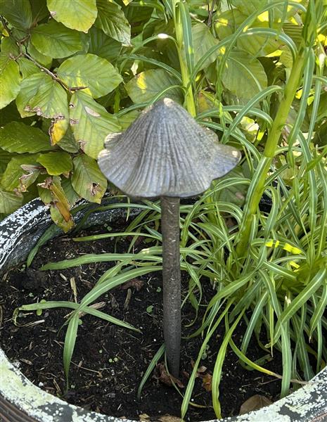 Grote foto tuinsteker paddenstoel gietijzer l pg540b tuin en terras tuindecoratie