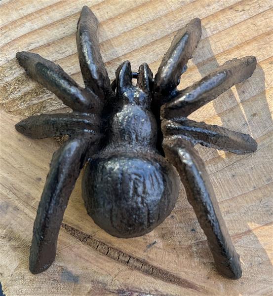 Grote foto spin met ophanghaakje gietijzer sg385 tuin en terras tuindecoratie