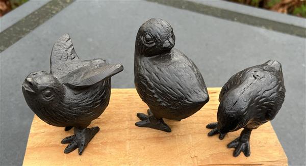 Grote foto vogels kuikens set van 3 gietijzer donkerbruin vgs620 tuin en terras tuindecoratie