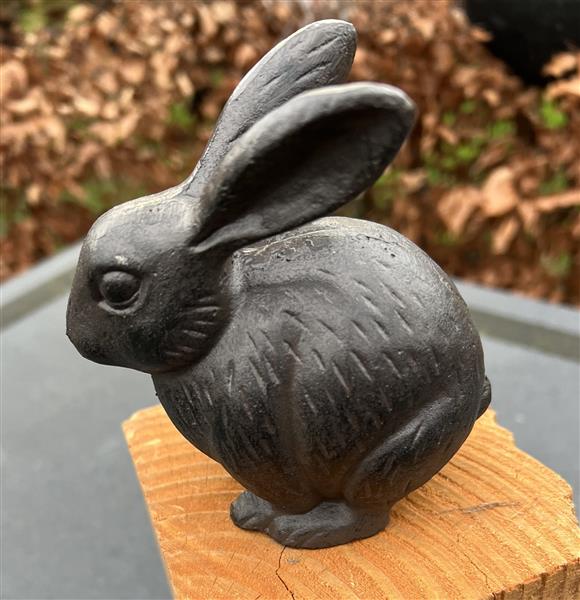 Grote foto konijn haas gietijzer kg130 tuin en terras tuindecoratie