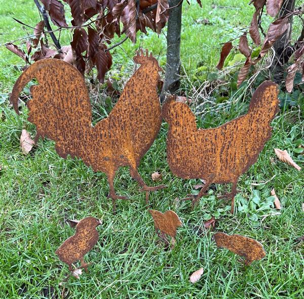 Grote foto tuinstekers haan kip kuikens set van 5 roestig metaal sks275 tuin en terras tuindecoratie