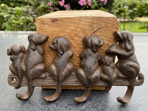 Grote foto kapstok met 6 hondjes en 4 haakjes kh1223 huis en inrichting woningdecoratie
