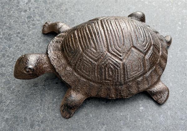 Grote foto dierenbeeld schildpad gietijzer groot sg315 tuin en terras tuindecoratie