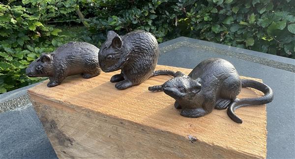 Grote foto muizen set van 3 gietijzer donkerbruin mgs210 tuin en terras tuindecoratie