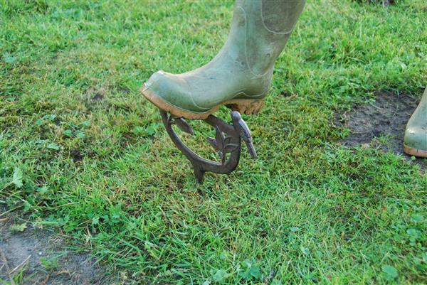 Grote foto schoenschraper laarzenschraper vogels met pin gietijzer br07 tuin en terras tuindecoratie