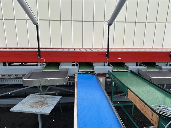 Grote foto aweta gmc 3 10 1 fruit en appelsorteermachine 10 1 uitgangen agrarisch tuinbouw