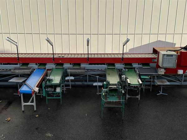 Grote foto aweta gmc 3 10 1 fruit en appelsorteermachine 10 1 uitgangen agrarisch tuinbouw