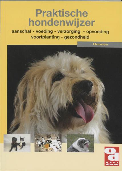 Grote foto praktische hondenwijzer over dieren boeken hobby en vrije tijd