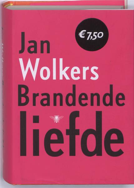 Grote foto brandende liefde boeken overige boeken
