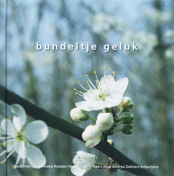 Grote foto bundeltje geluk boeken stripboeken