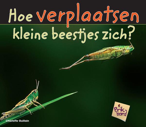 Grote foto prikbord hoe verplaatsen kleine beestjes zich boeken overige boeken