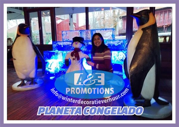 Grote foto frozen en happy feet decoratie huren amsterdam hobby en vrije tijd feestartikelen verhuur