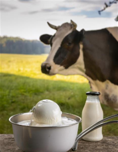 Grote foto boerderij ijs concept 5 geheimen voor succes zakelijke goederen overige zakelijke goederen
